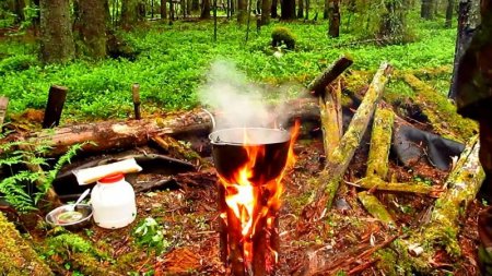 Как получить огонь в мокром лесу 