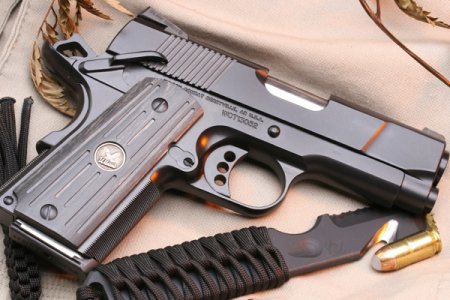 Пистолет Wilson Combat Sentinel (США)