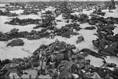 Из писем немецких солдат: Сталинград. Агония