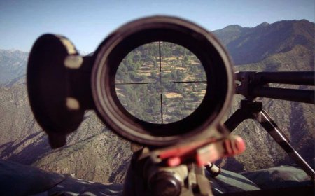 Приоритет целей для снайпера и метод ловли-на-живца