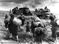 Жертвы Великой Отечественной войны
